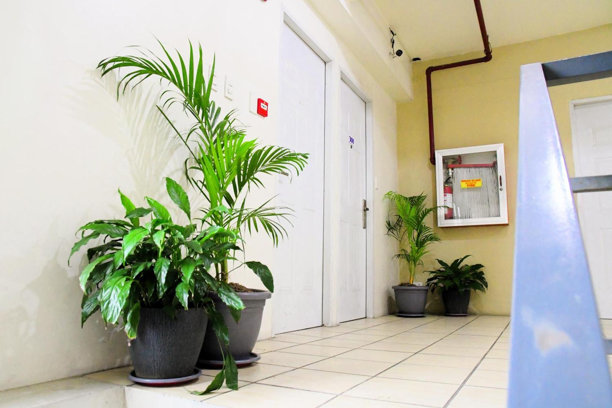 סן פדרו מקאטי Arzo Hotel Makati מראה חיצוני תמונה